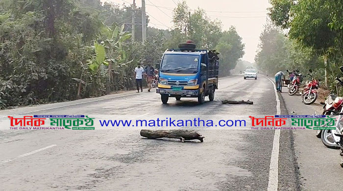 বোয়ালিয়ায় রাস্তা পার হওয়ায় সময় বাস চাপায় শিশু নিহত